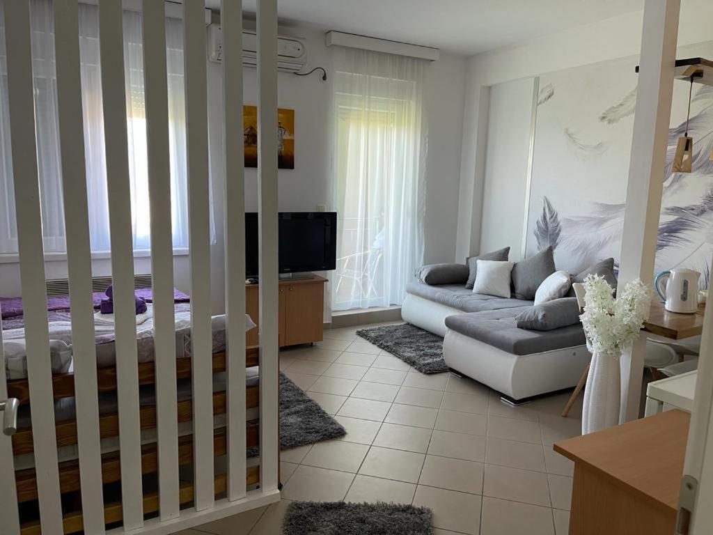 Apartman Lukic Баня-Ковиляча Экстерьер фото