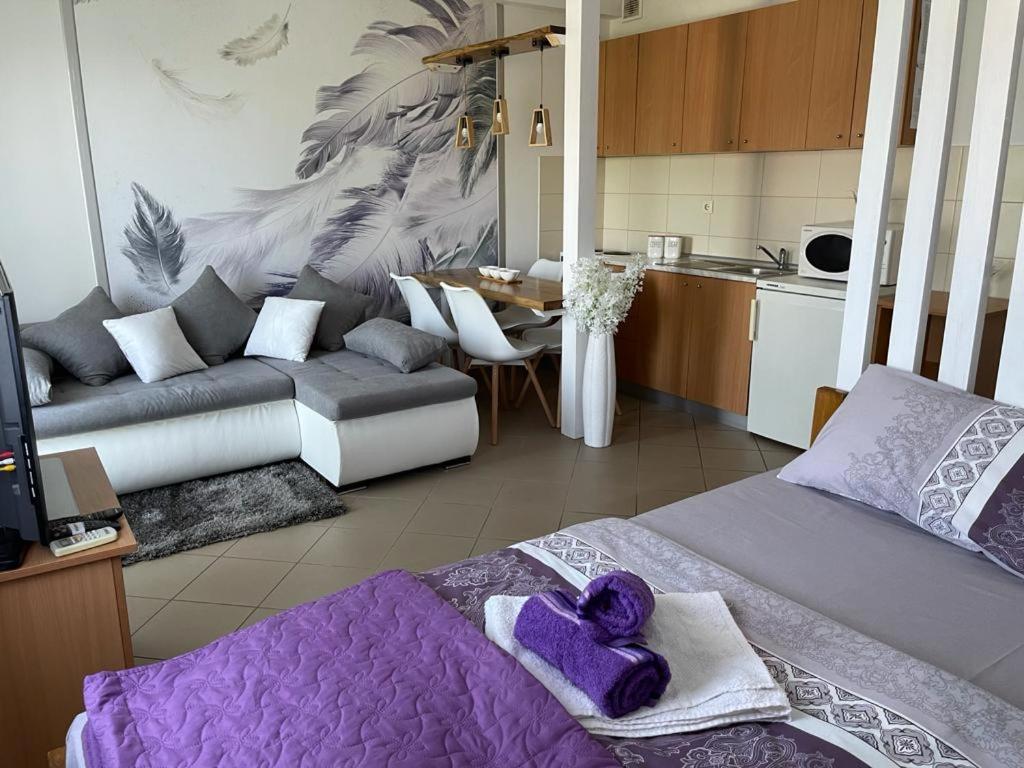 Apartman Lukic Баня-Ковиляча Экстерьер фото