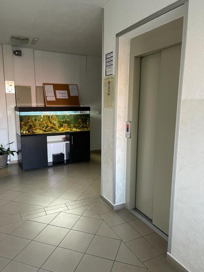 Apartman Lukic Баня-Ковиляча Экстерьер фото